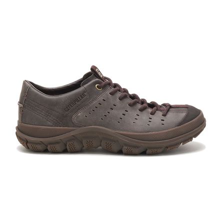 Zapatillas