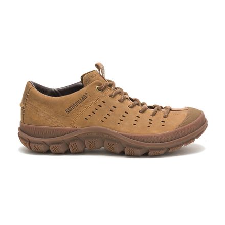 Zapatillas