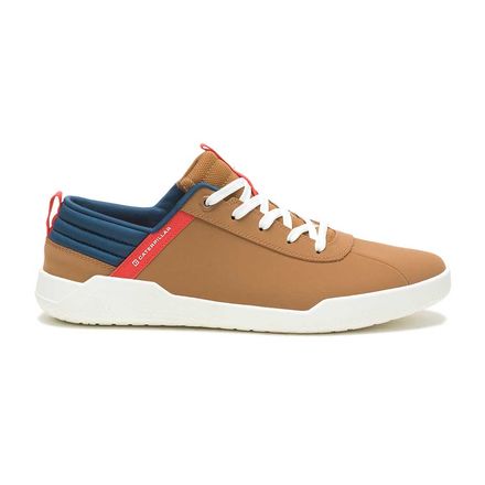 Zapatillas