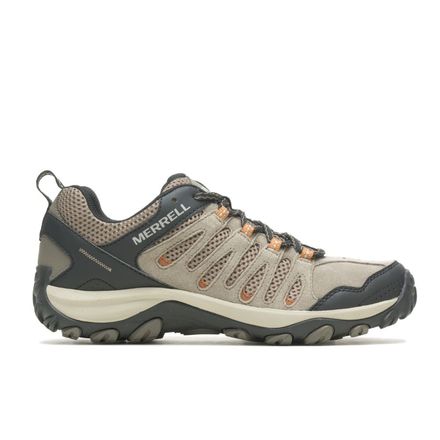 Zapatillas